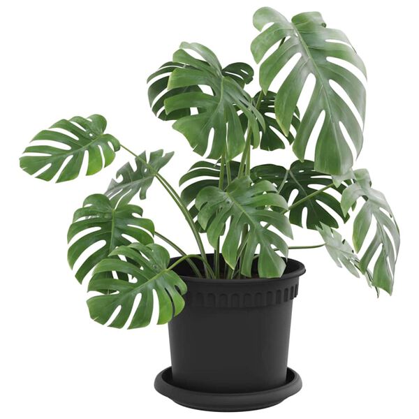 Visar produktbild 3 av 12