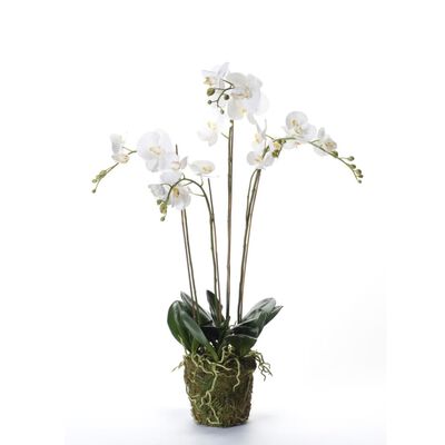 Emerald Konstväxt orkidé med mossa vit 90 cm 20.355