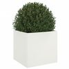 Produktminiatyrbild 4 av 11