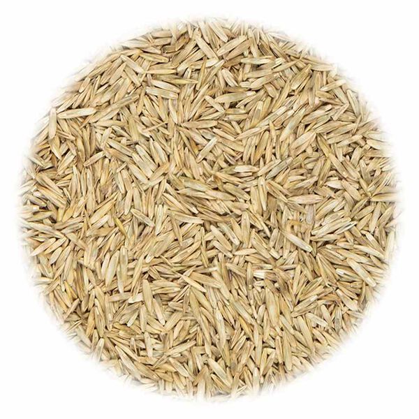 vidaXL Gräsfrön för sport och lek 20 kg