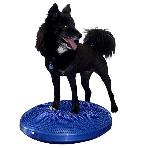 FitPAWS Balansplatta f&ouml;r hund 56 cm bl&aring;