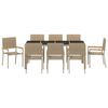 vidaXL Tr&auml;dg&aring;rdsm&ouml;belset 9 pcs Beige konstrotting