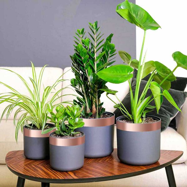 vidaXL Koppartejp Koppar 2000 x 5 cm Koppar