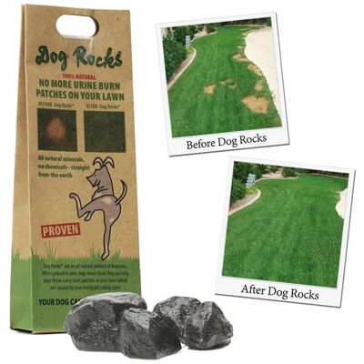Dog Rocks Stenar mot urinfläckar för hund