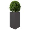 Produktminiatyrbild 4 av 12