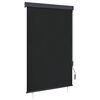 vidaXL Rullgardin utomhus 120x250 cm antracit