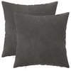 vidaXL Kudd&ouml;verdrag 2 st HEERLEN M&ouml;rkgr&aring; 30 x 30 cm Sammet