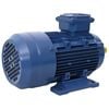 vidaXL 3-fas elektrisk motor aluminium 1,5kW/2HK 2-polig 2840 RPM