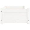 vidaXL Hundbädd vit 65,5x50,5x28 cm massiv furu
