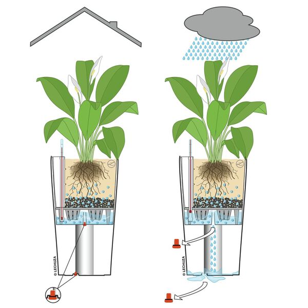 LECHUZA Odlingskruka CILINDRO Cottage 23 ALL-IN-ONE 23 cm grafitsvart