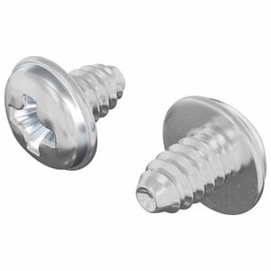 vidaXL L&aring;sskruvar 2 st Silver M4 x 5 mm J&auml;rn