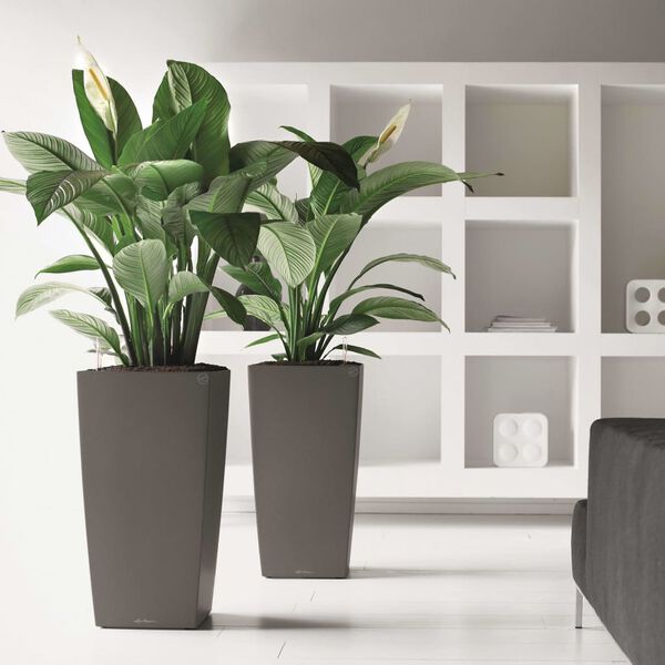 LECHUZA Blomkruka Cubico 30 ALL-IN-ONE kolgrå 18184