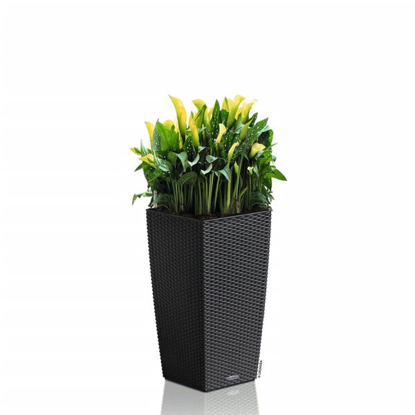 LECHUZA Odlingsenhet CUBICO Cottage 30 ALL-IN-ONE granit