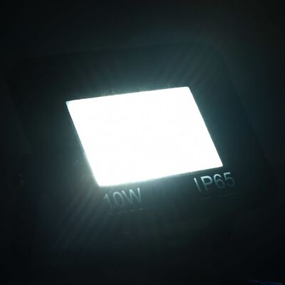vidaXL Strålkastare 10 W LED kallvit