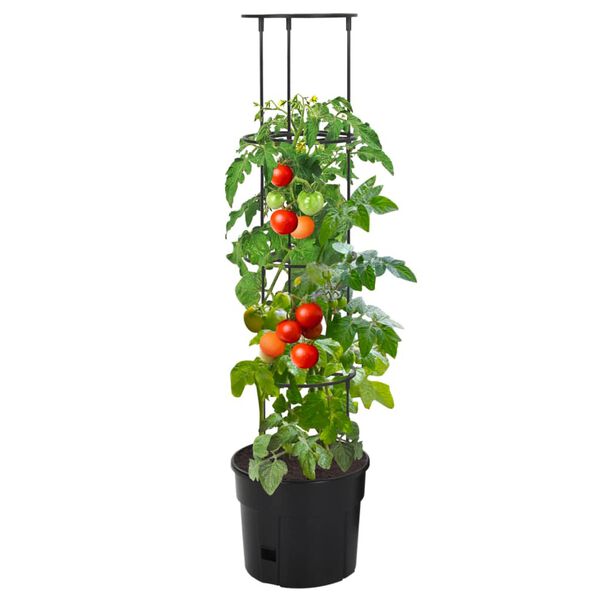 Visar produktbild 2 av 6