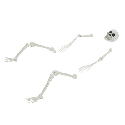 Halloween-skelett med markspett vit 45,5 x 13 cm