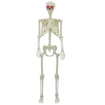 Halloween-skelett vit 155 x 38,5 cm