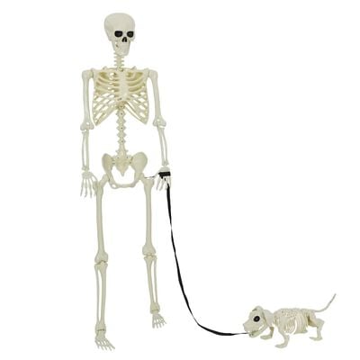 Halloween-skelettset 2 st vit 155 x 38,5 cm