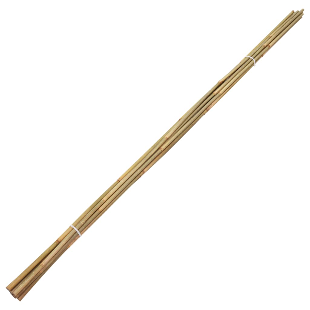 vidaXL Bambupinnar 50 st 150 cm