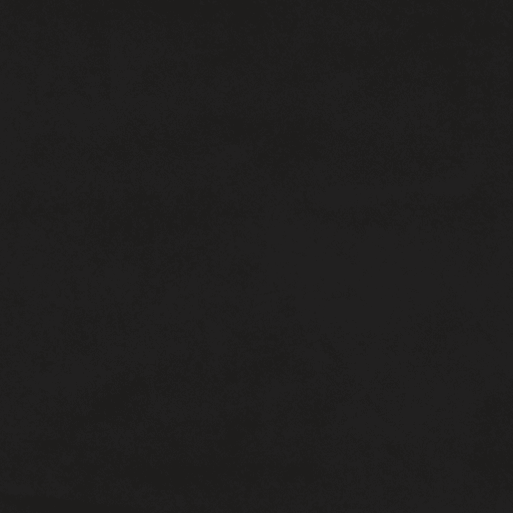 vidaXL Ramsäng med madrass svart 80x200 cm sammet