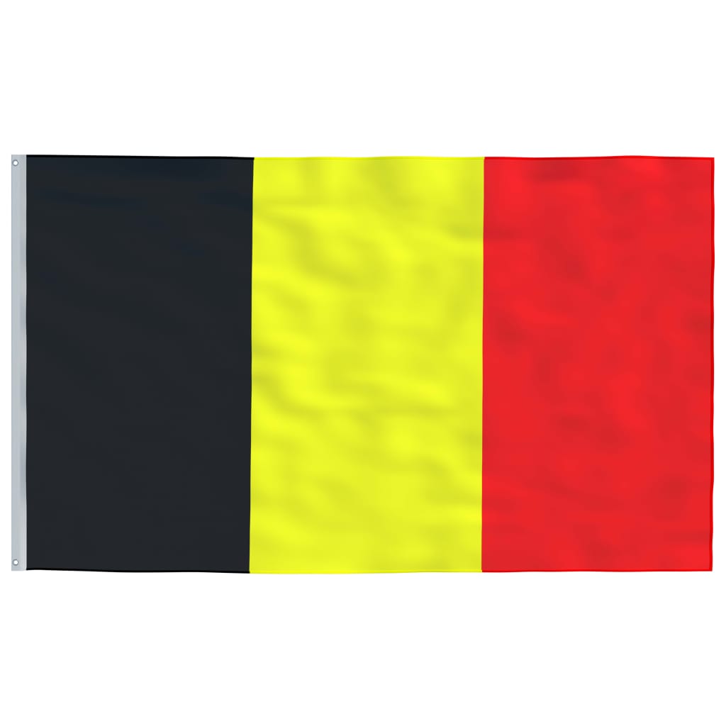 vidaXL Belgiens flagga och flaggstång 6,23 m aluminium