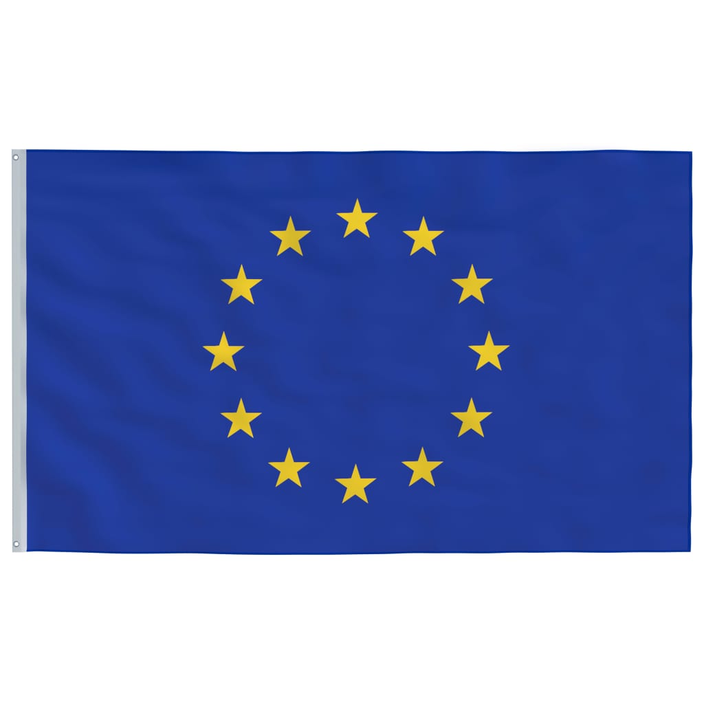 vidaXL Europas flagga och flaggstång 5,55 m aluminium