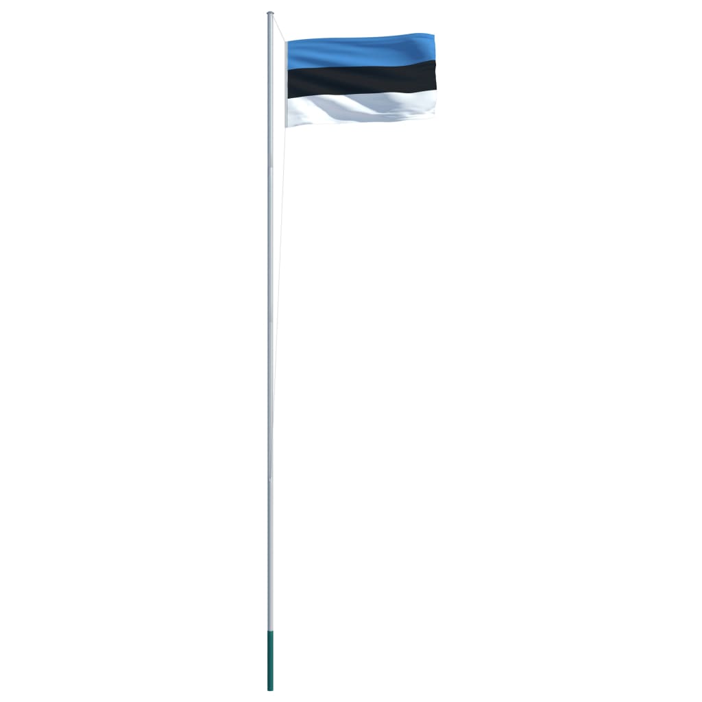 vidaXL Estlands flagga och flaggstång i aluminium 6,2 m