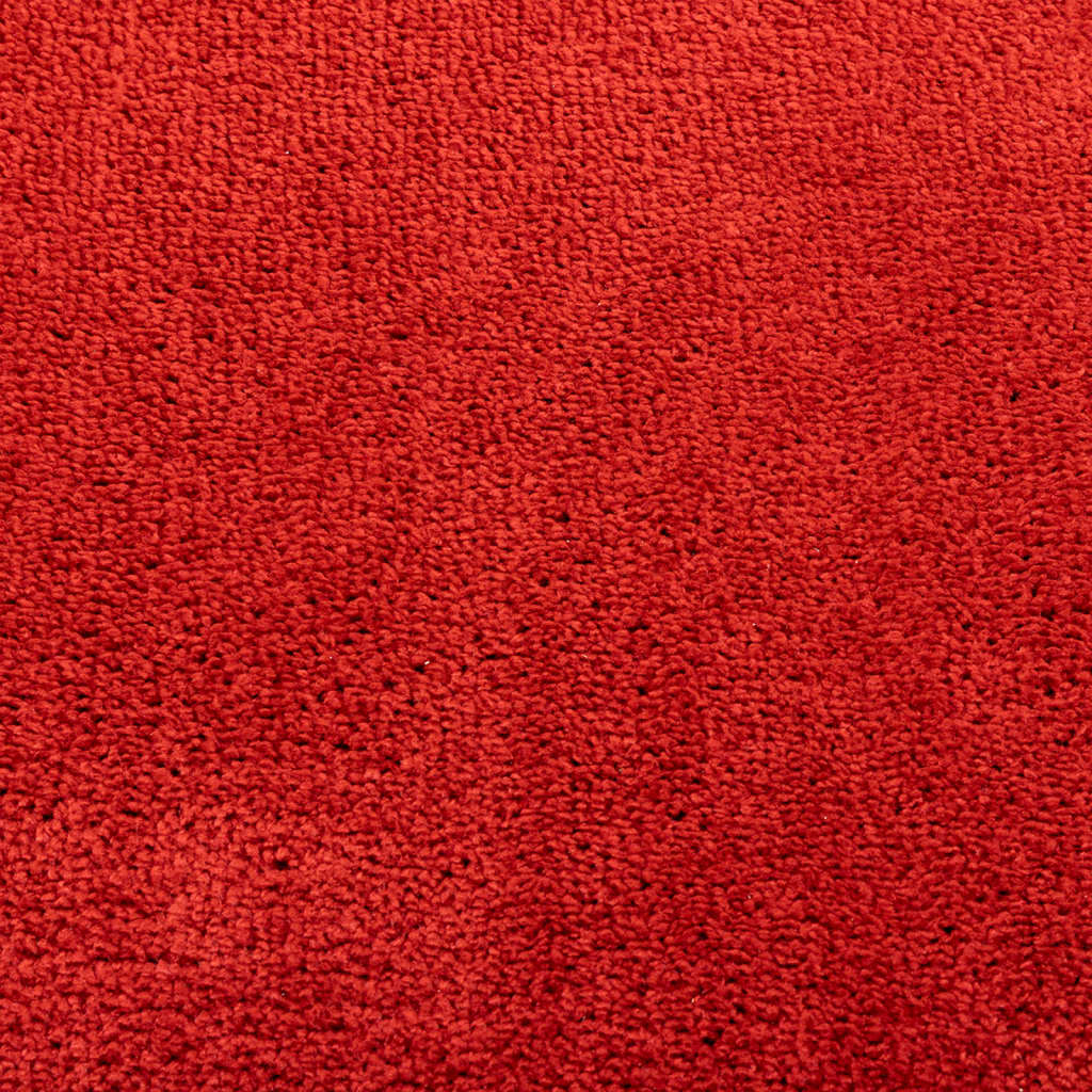 vidaXL Matta OVIEDO kort lugg röd 240x340 cm