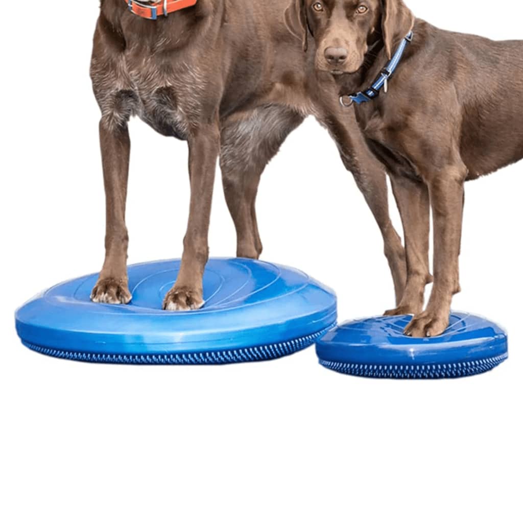 FitPAWS Balansplatta för hund 56 cm blå