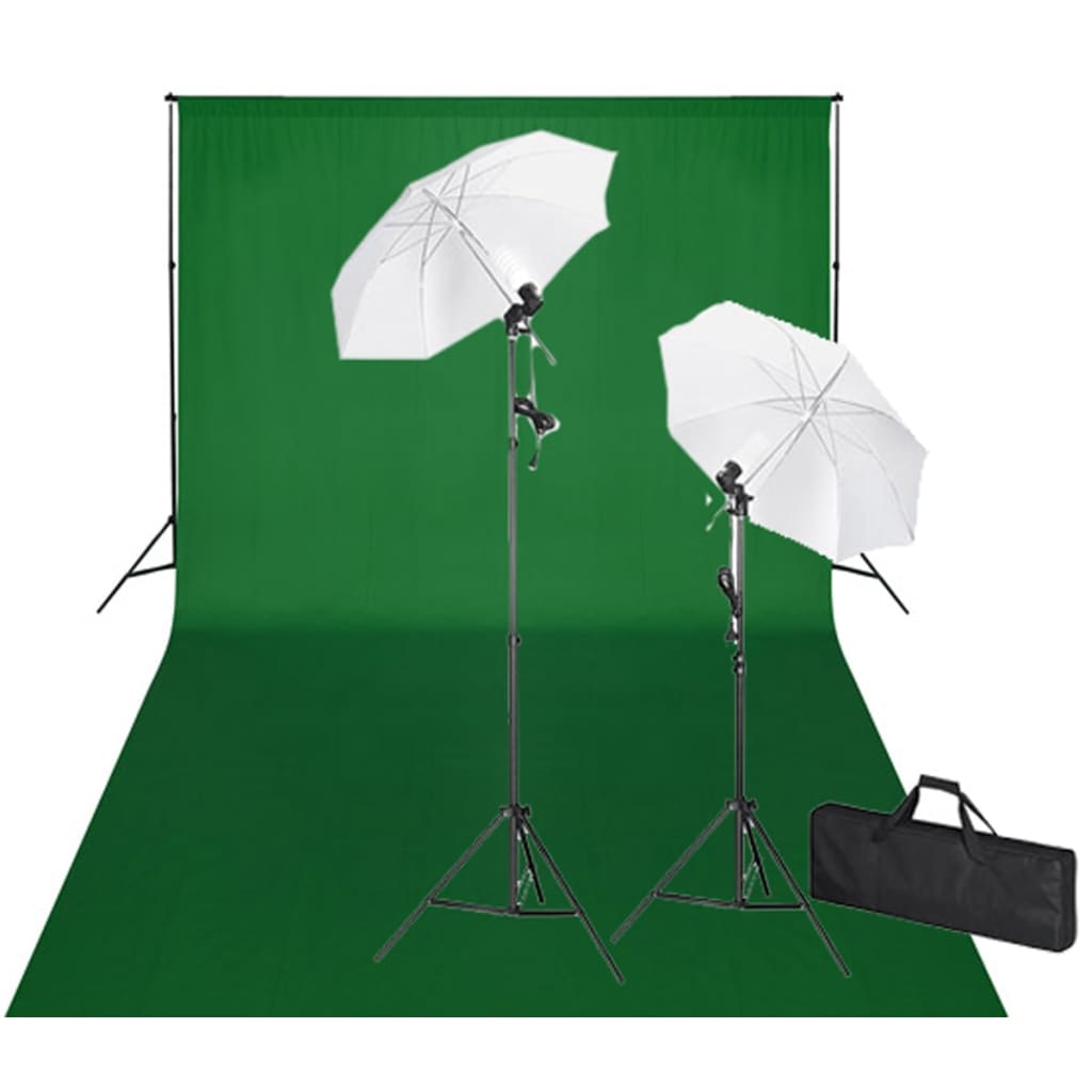 vidaXL Fotostudio kit grön bakgrund 600 x 300 cm & lampor