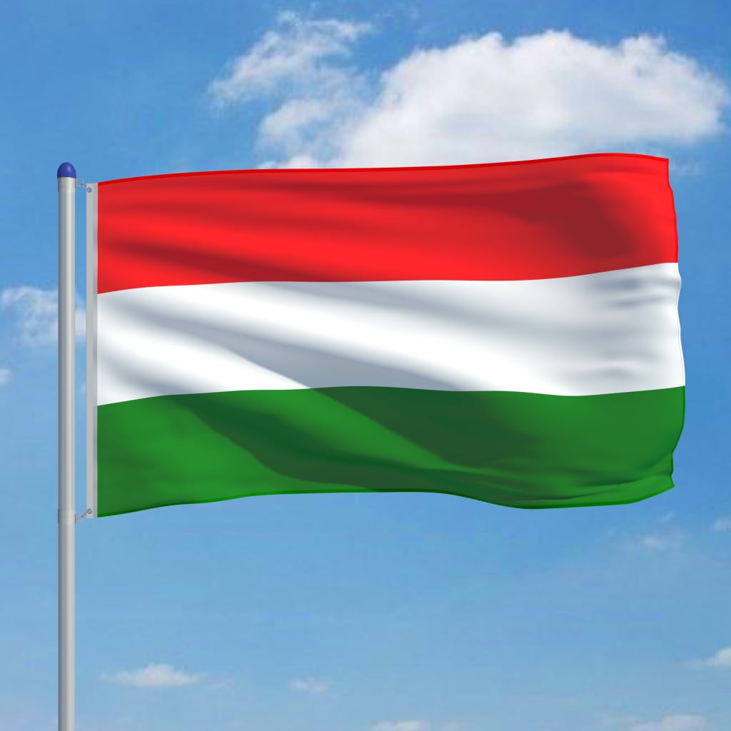 vidaXL Ungerns flagga och flaggstång i aluminium 6 m