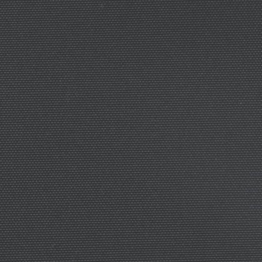 vidaXL Indragbar sidomarkis svart 100x300 cm