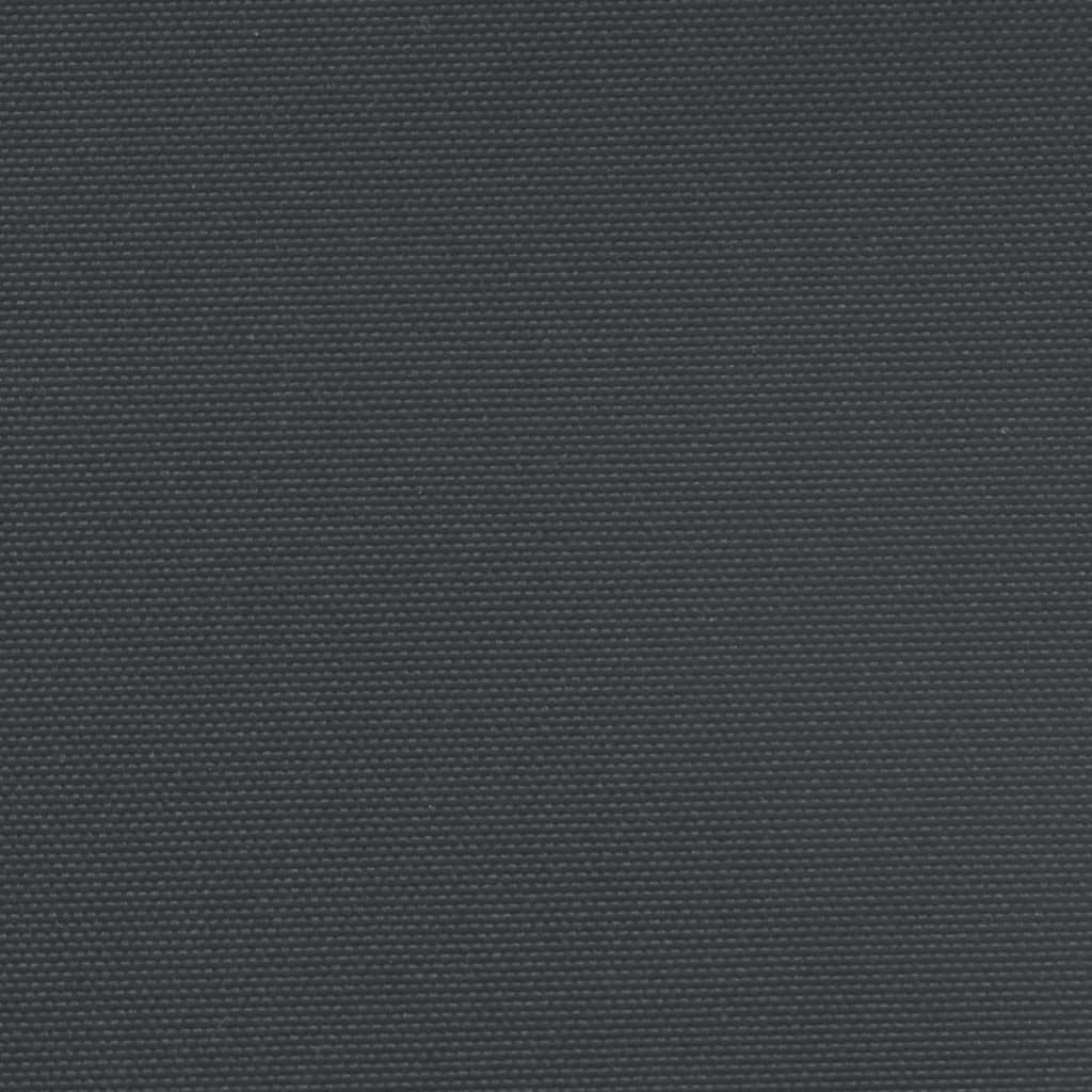 vidaXL Infällbar sidomarkis svart 160x1200 cm