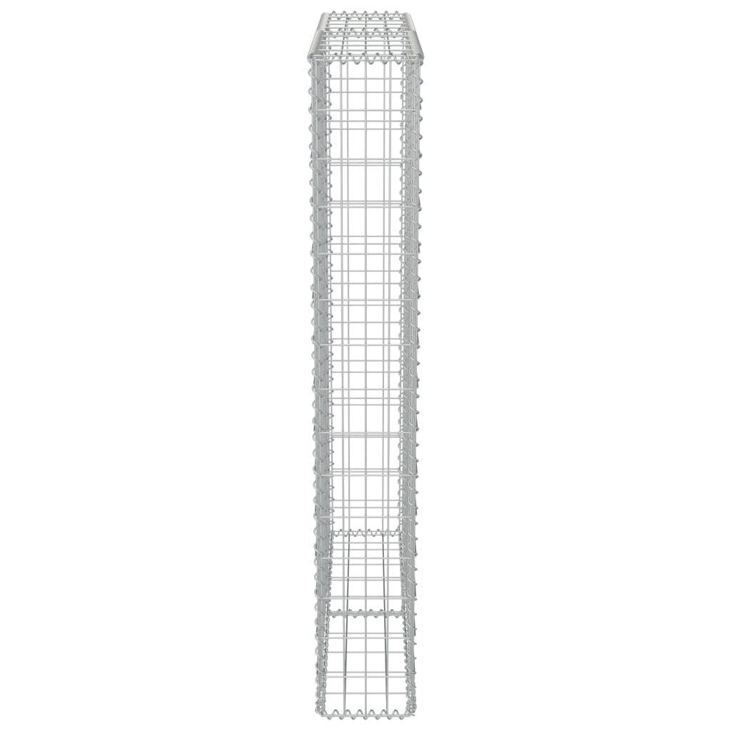 vidaXL Gabionmur i galvaniserat stål 100x20x150 cm
