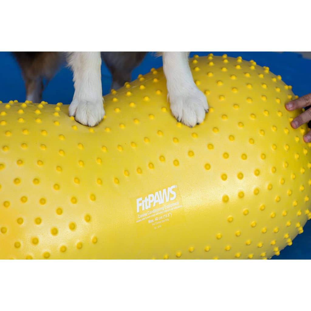 FitPAWS Balansboll för husdjur Trax Peanut 40 cm gul
