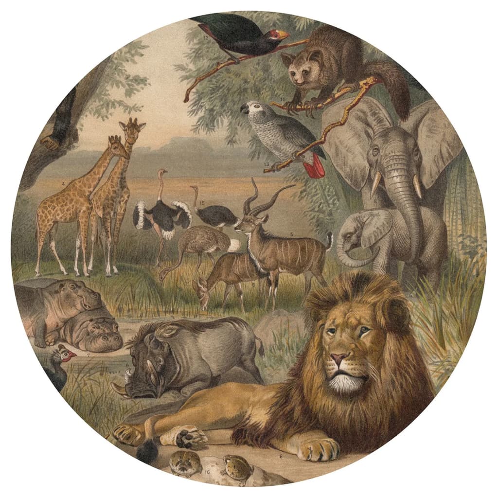 WallArt Tapet cirkelformad Animals of Africa 142,5 cm