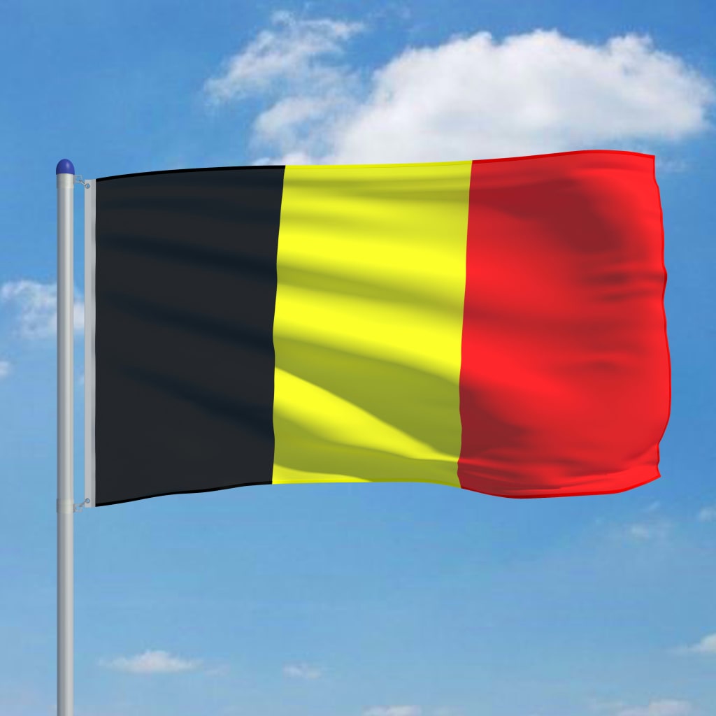 vidaXL Belgiens flagga och flaggstång i aluminium 6 m