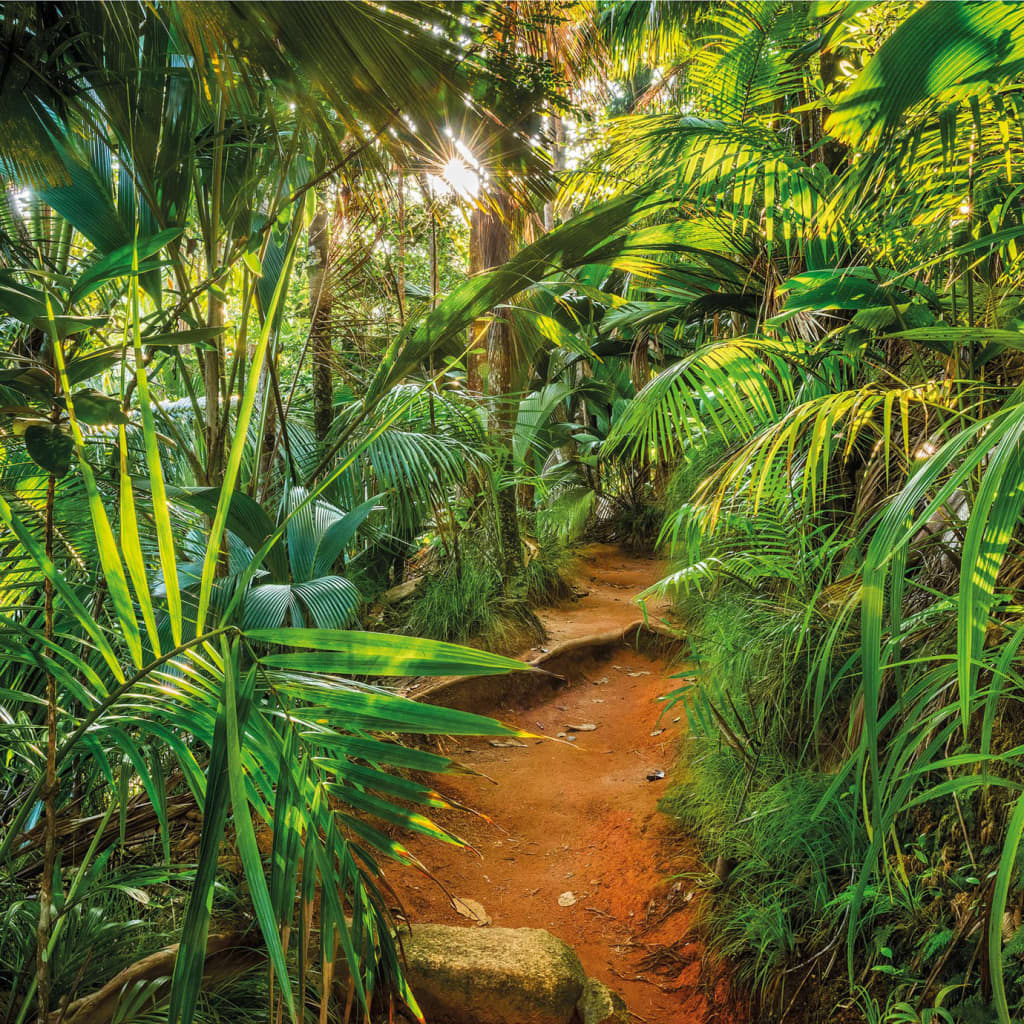 Komar Fototapet Jungle Trail 368x254 cm