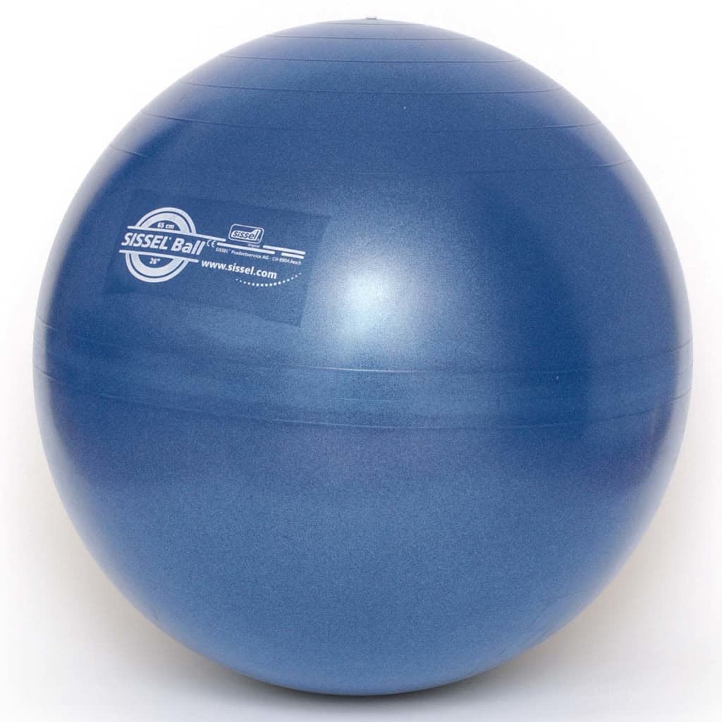 Sissel Träningsboll 65 cm blå SIS-160.063