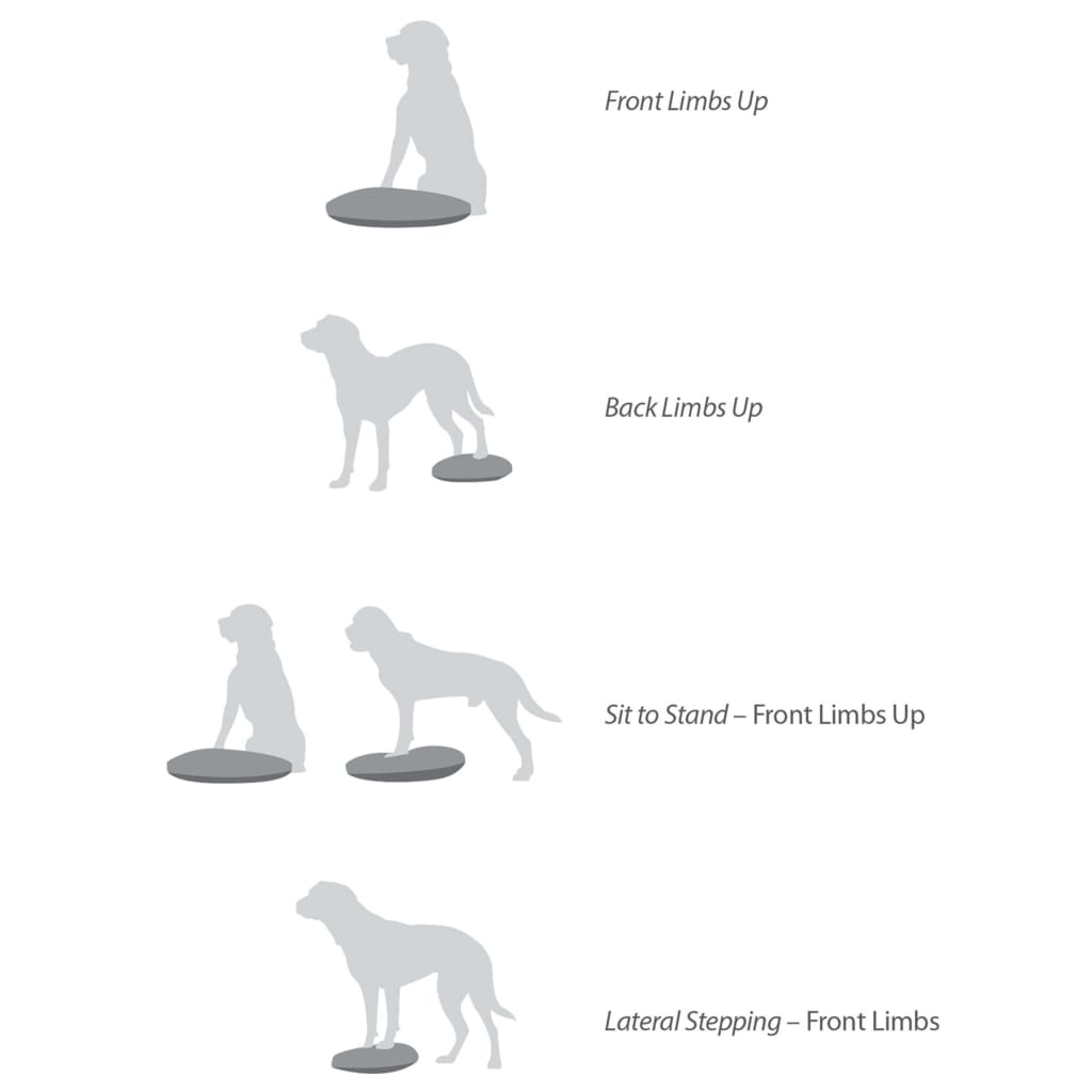 FitPAWS Balansplatta för hund 56 cm lila