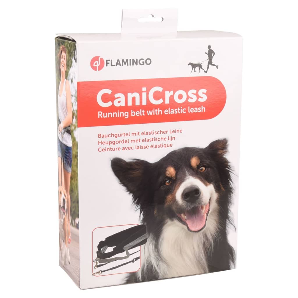 FLAMINGO Hundkoppel med elastiskt koppel Canicross svart