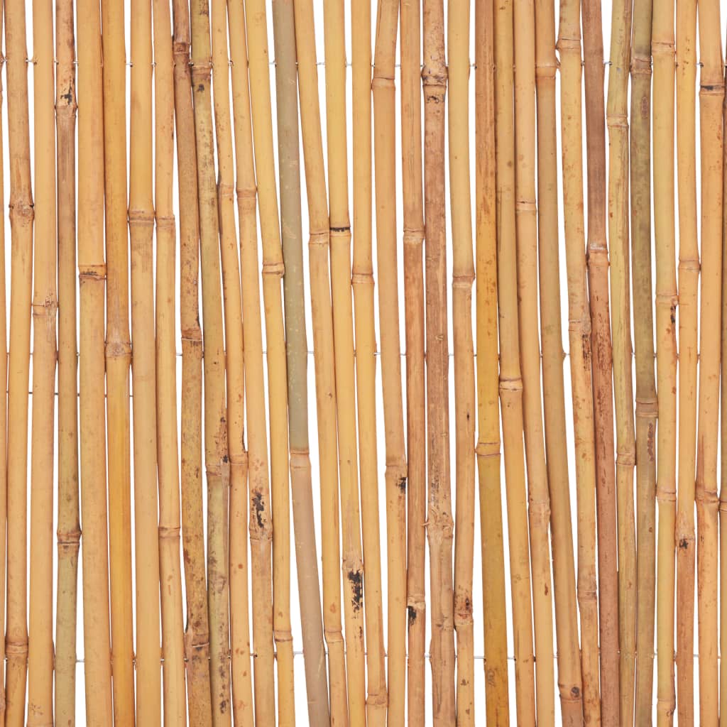 vidaXL Staket bambu 500x50 cm