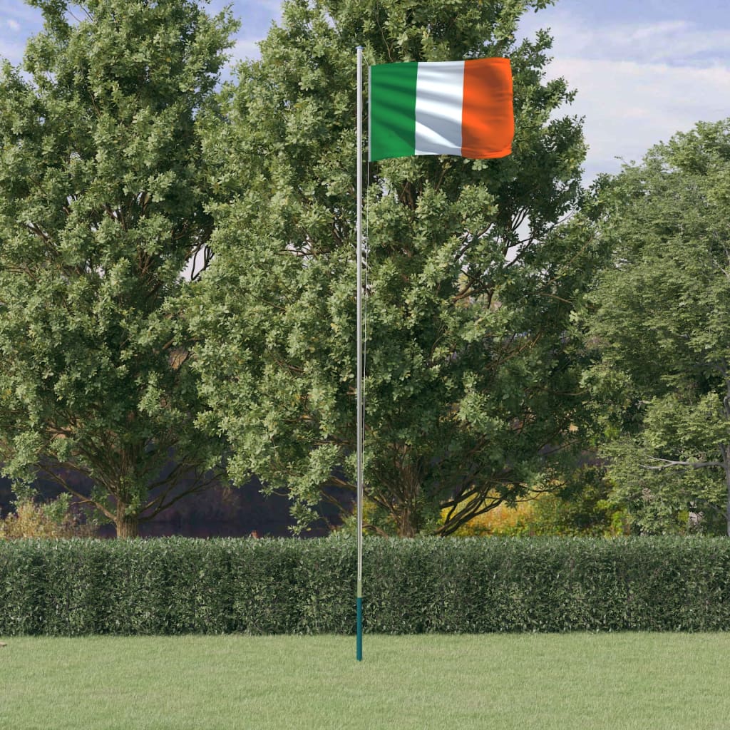 vidaXL Irlands flagga och flaggstång 6,23 m aluminium