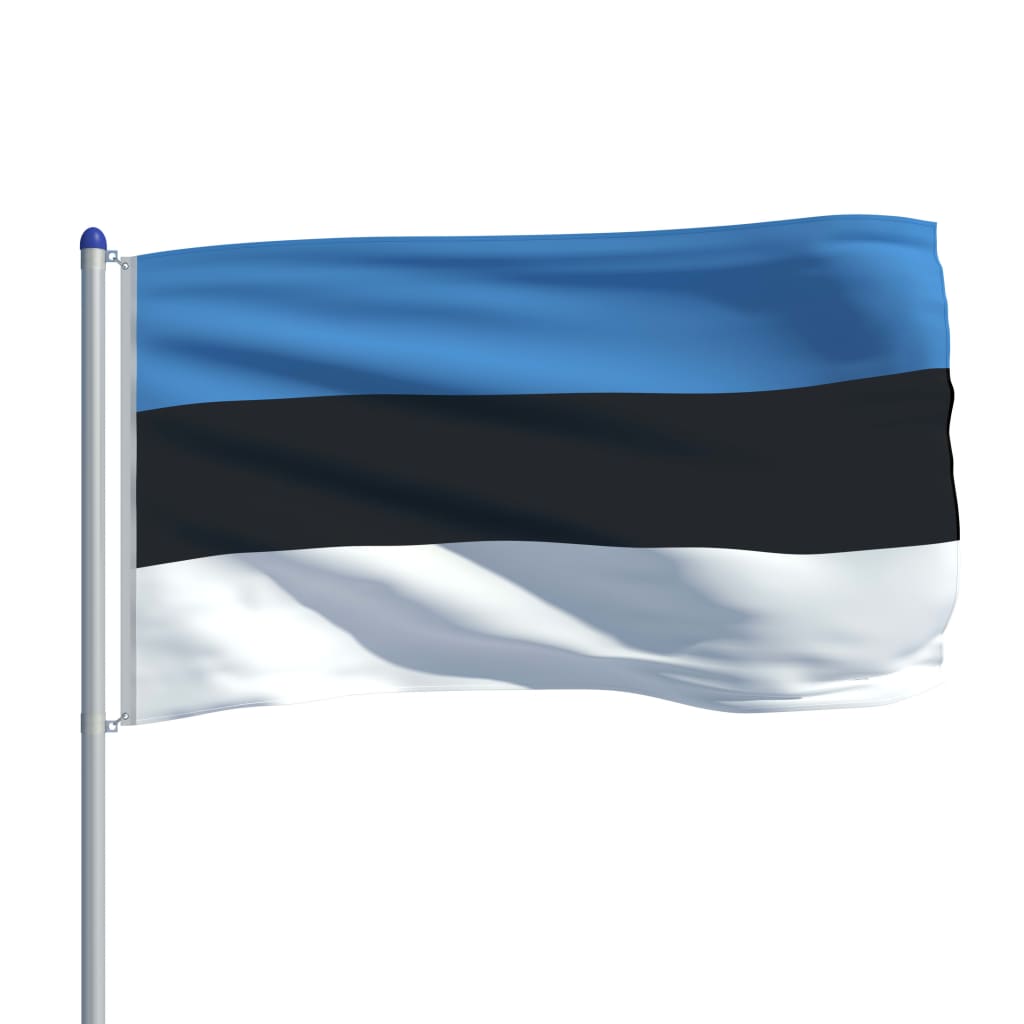 vidaXL Estlands flagga och flaggstång i aluminium 6 m