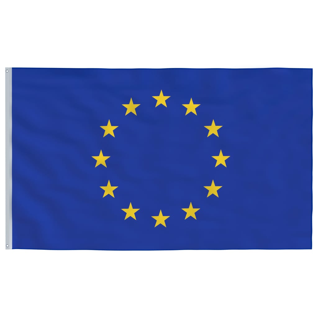 vidaXL Europas flagga med flaggstång 6,23 m aluminium